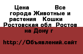 Zolton › Цена ­ 30 000 - Все города Животные и растения » Кошки   . Ростовская обл.,Ростов-на-Дону г.